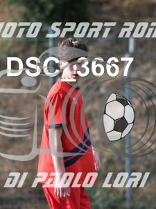 DSC_3667