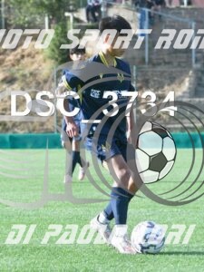 DSC_3734